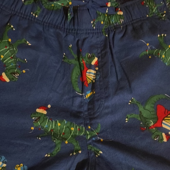 Dinosaur Men’s Size M Holiday Sleep Long Pants Regular - Picture 4 of 7